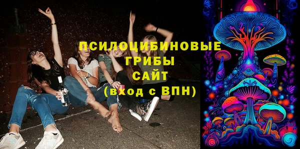 а пвп мука Надым